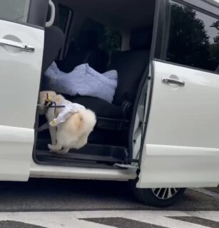 お盆休みも明けましたね